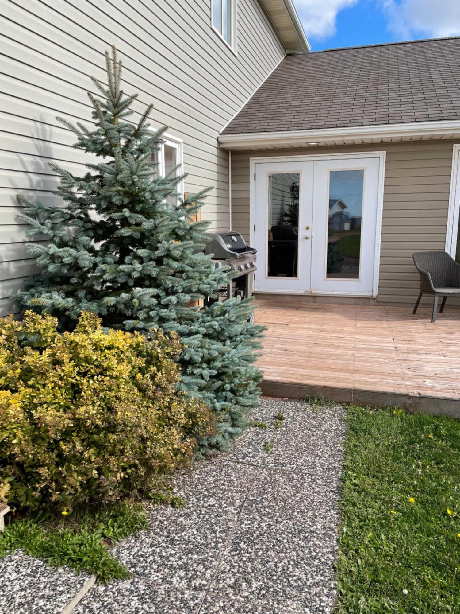 Pei Cottage Rental Borden-Carleton Экстерьер фото